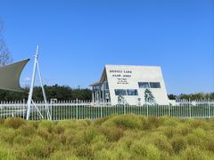 -天津东丽湖风景区