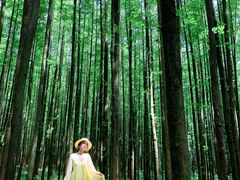 -山王坪喀斯特国家生态公园