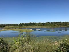 -蒲河岛湿地公园