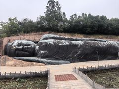 -三水森林公园