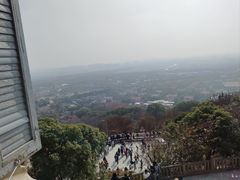 -上海佘山国家森林公园西佘山园