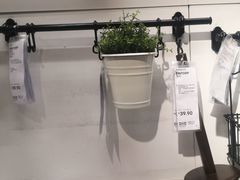 -IKEA宜家家居(南京商场)