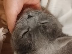 -春笙食堂.丼饭拉面寿司(GOGO新天地店)