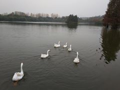 -浙江农林大学(东湖校区)