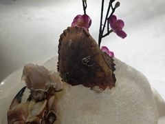 -福禧荟·海鲜自助