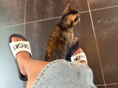 -EATALIA意塔利意式餐厅(鼓楼店)