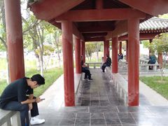 -莲湖公园