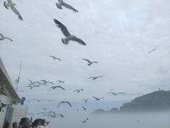 -海驴岛(荣成市)