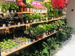 -家乐福(古北店)