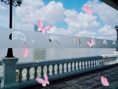 -白天鹅宾馆·流浮阁咖啡厅