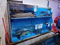 -台山美食一绝阿四台山黄鳝饭(阿四创作店)