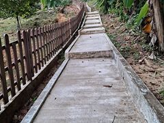 -槟城植物园
