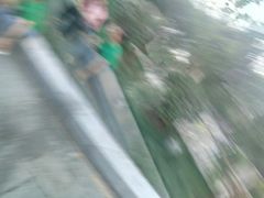 -莲湖公园