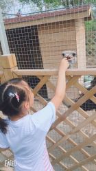 -萌宠亲子动物乐园(槐房万达店)