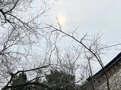 -华山风景区-华阳宫