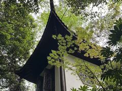 -十八棵（老龙井）御茶园(老龙井店)