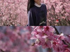 -福建鲤鱼洲酒店