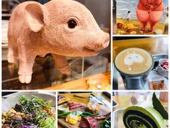 -WHEN PIGS FLY当猪飞
