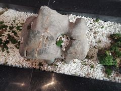 -马家斑.鲜鱼火锅(松湖万科店)