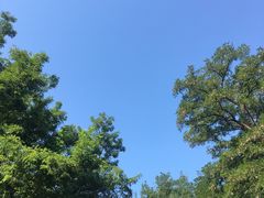 -玲珑塔公园