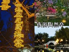 -陶然亭公园