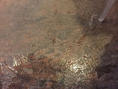 -无招牌海鲜餐厅(滨海艺术中心店)