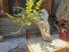 -爱新觉罗皇家博物院