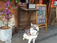 -飘香酒馆·私房菜