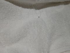-汤印温泉假日酒店