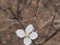 -鹫峰国家森林公园
