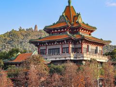 -顺峰山公园