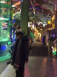 -恐龙探索乐园(磁器口店)