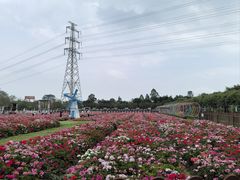 -盈香心动乐园