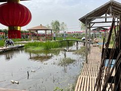 -同銮特种养殖场·龙虾垂钓