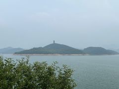 -望湖烤鱼