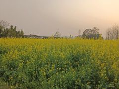 -蜀绣公园