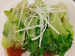 白灼罗马生菜-惠丰堂饭庄·烤鸭·京味菜(翠微路店)