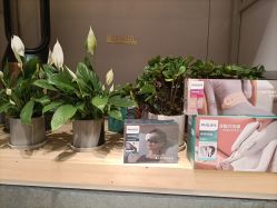 -小颜秘家·韩国整骨