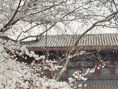-堤角公园