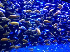 -成都浩海立方海洋公园