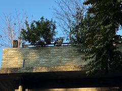 -旧雨咖啡·CoffeeFORU(黄村奥体店)