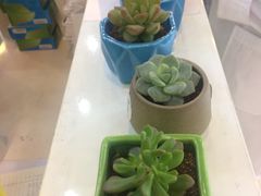 -易改衣·专业衣物奢护中心(珠江新城猎德店)