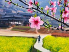 -西江千户苗寨