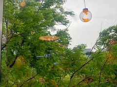 -MOCUS莫卡斯餐厅(祥云小镇店)