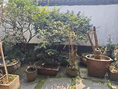 -院子餐厅·大锅菜·老杭帮(桥西直街店)