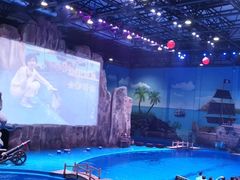 -华夏文旅海洋公园