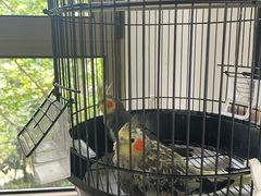 -浙江安吉JW万豪酒店
