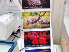 -好利来(团结湖店)