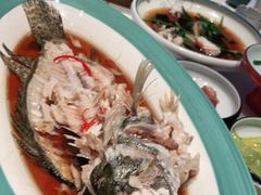 -百富源·海鲜辽菜(浑河堡店)