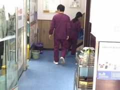 -顺强宠物诊所·狂犬免疫·夜诊·骨科(嘉定店)